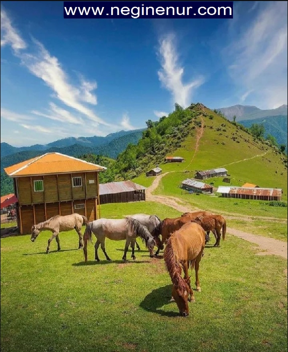 زیبایی شمال کشور