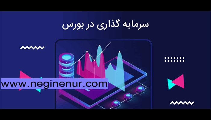 بورس کالا یا خرید زمین در شمال؟ از بازی دولت تا سرمایه گذاری منطقی