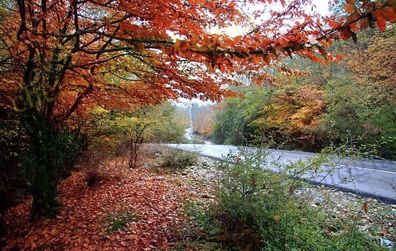 روستای بلیران آمل