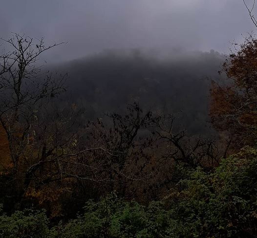 روستای زیارو آمل