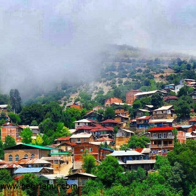  جنگل بخش شرقی مازندران