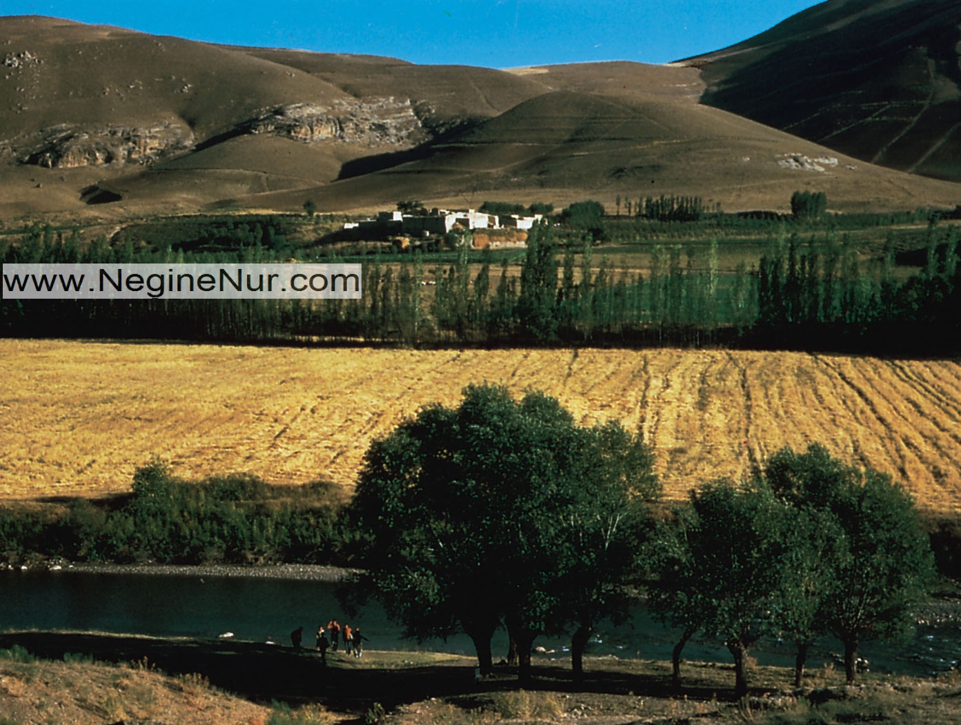 خرید زمین روستایی
