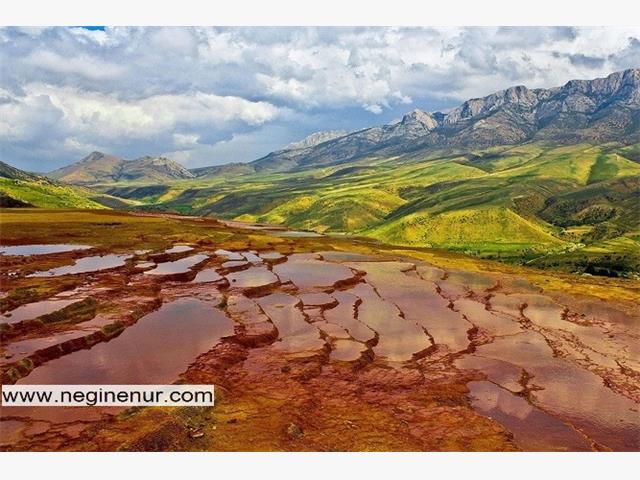 افزایش طول عمر و سلامت انسان با زندگی در بهشتی همچون مازندران