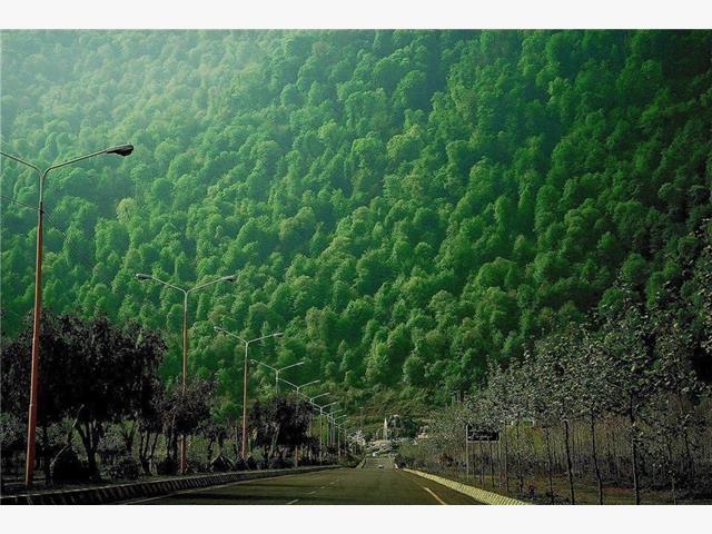جاهای دیدنی نمک آبرود